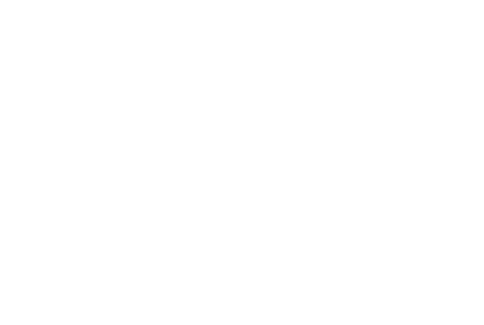 Libota